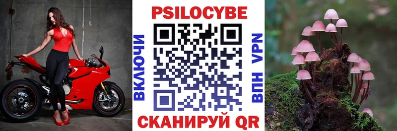 OMG зеркало  Ессентуки  Псилоцибиновые грибы Psilocybe 